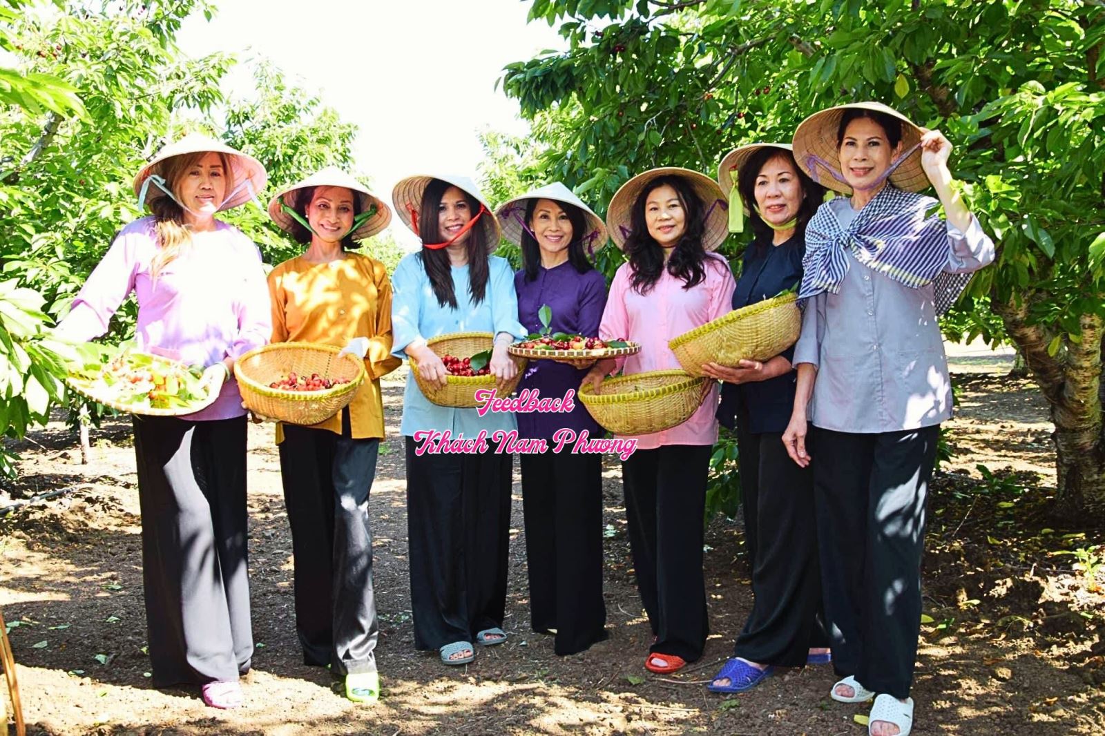 áo bà ba vươn ra thế giới